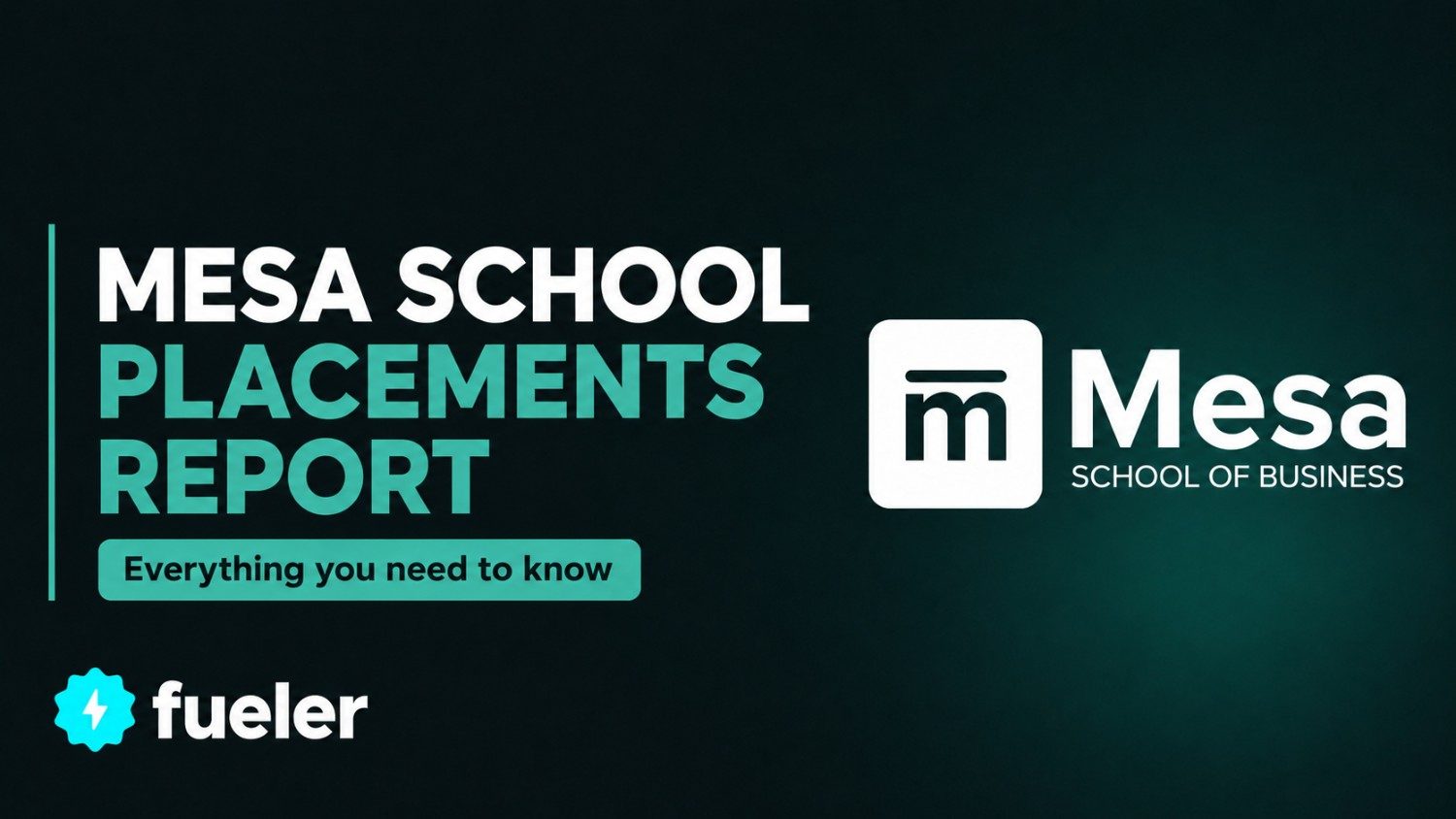 Mesa School Placements Report: Roles, Companies, and Salaries
