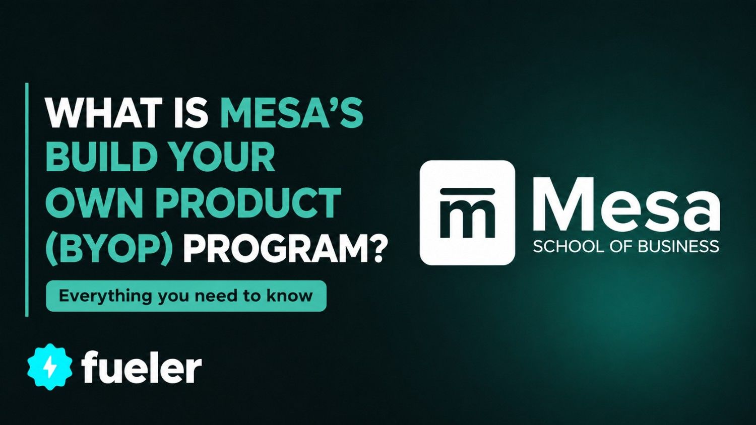 What is Mesa's Build Your Own Product (BYOP) Program?